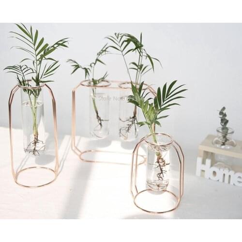 Nordic Glass Vase Wrought Iron Hydroponic Plant Flower Holder Golden Flower Pot Tabletop Coffee Shop Office Home Decoration