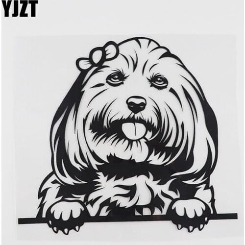 YJZT 16.7CMX15.7CM Lovely Maltese Decal Peeking Dog Vinyl Car Sticker Black/Silver 8A-0083