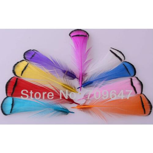 Feathers! 200Pcs/Lot 6-9CM LOOSE Lady Amherst Pheasant Tippet Feathers,Lady Amherst Pheasant Feathers,9 Colours Available