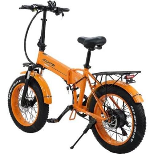 Electric Snow Bike 2 Wheels Electric Bicycles Folding 20 Inch Fat Tire 350W 48V Beach Off road Adult Electric Bicycle