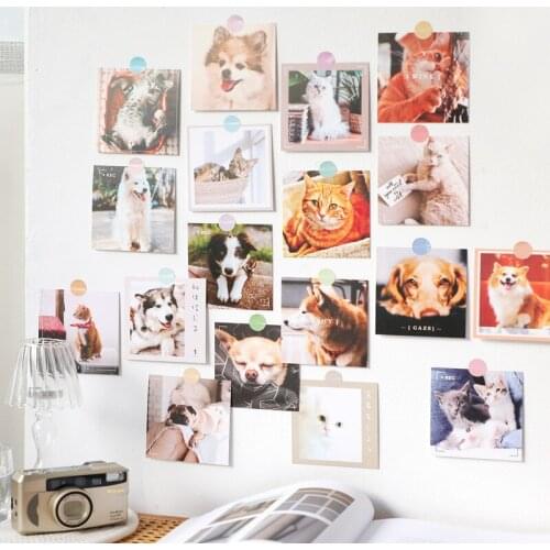 Ins 9 Sheets Interesting Cat Dog Postcard Square Cute Animals Decorative Card Small Poster Creative Diy Background Wall Sticker
