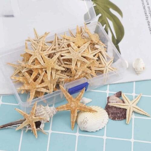 20/50/100Pcs Natural Starfish Seashell Beach Craft 1-5cm Natural Sea Stars DIY Beach Wedding Decoration Crafts Home Decor Epoxy