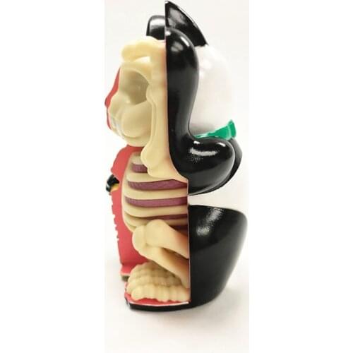 4D Panda money cat Intelligence Assembling Toy Assembling toy Perspective Anatomy Model DIY Popular Science Appliances