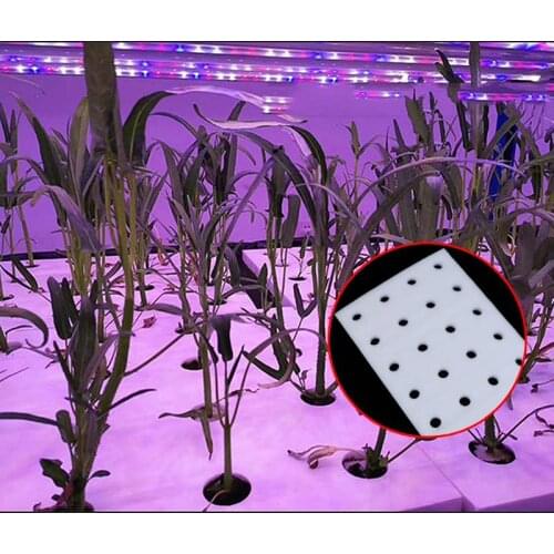 Hydroponic Vegetable Floating Board Soilless Cultivation Equipment Fish And Vegetable Symbiosis Hydroponic Foam Board