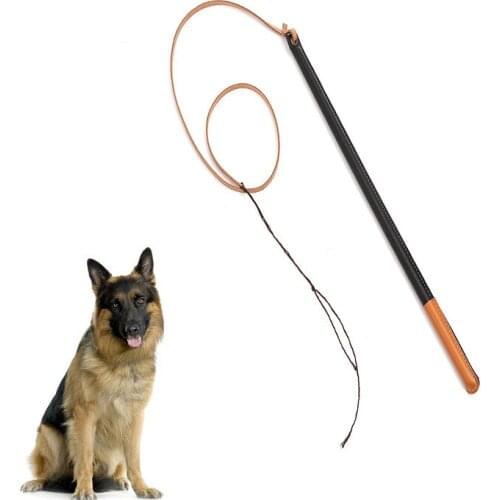 Dog Puppy Teaser Pole Wand Outdoor Interactive Pet Dog Flirt Pole Training Exercise Rope Toy Training Whip Pet Supplies