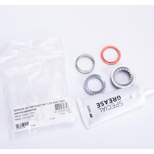 The original DT Swiss 54t EXP Star Ratchet Kit: 2 star ratchets, 1springs and grease