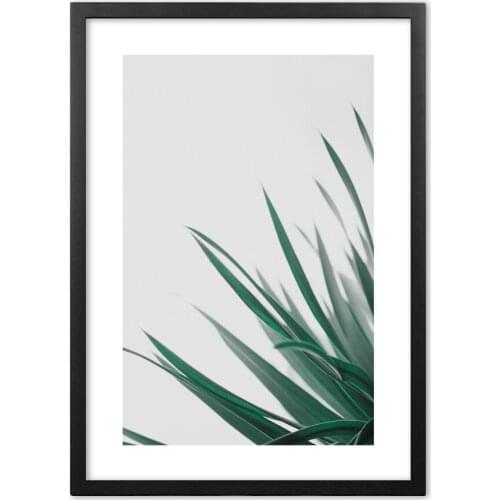 Nordic Style Plant Dracaena Marginata Wall Art Print paper Painting Nordic Posters And Prints Wall Pictures For Living RoomDecor