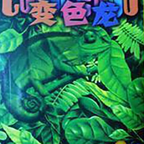 Coloretto Board Game 2-5 Players Cards Games with English rules