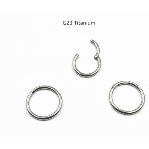 10pcs/lot Free Shipping G23 Titanium Seamless Hinged Segment Ring Clicker Cartilage Nose/Lip Hoop Septum 16gx8/10mm
