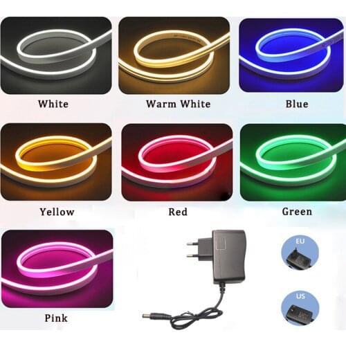 Neon LED Strip Light 12V DC SMD2835 LEDs Waterproof Flexible NEON Decorative Light White Red Blue Green Home With Plug