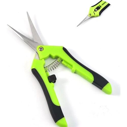 Queenral Scissors