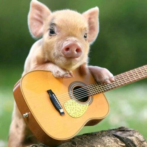 Diamond painting animal pig playing piano full square/round diamond art 5d diy handmade art decoration