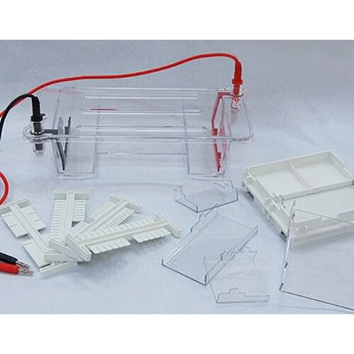 DYCP-31BN/CN/DN Agarose level electrophoresis instrument DNA nucleic acid electrophoresis instrument