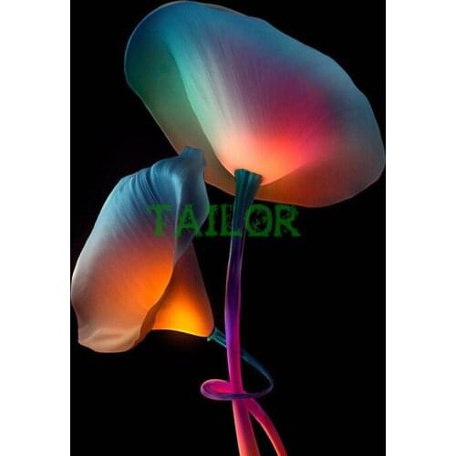 Full square wall stickers Cuadros 5D diamond painting kit set Cross stitch haft diamentowy tools 3D DIY flower colour Mosaic art