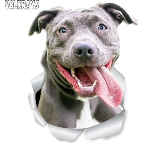 Volkrays Funny 3D Dog Car Sticker American Bully Happy Pit Bull Dog Decal Waterproof Auto Accessories Vinyl,15cm*10cm