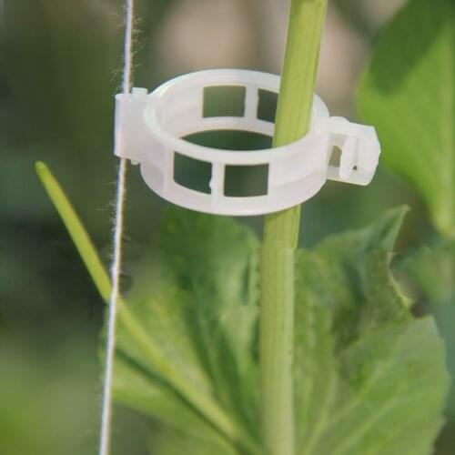 Tomato Clips Connect Pepper Cucumber Vines to Trellis Twine DIY Pack of 100
