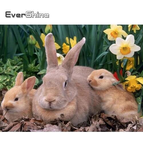 Evershine 5D DIY Diamond Painting Full Drill Square Animals Cross Stitch Diamond Embroidery Sale Rabbits Rhinestones Pictures
