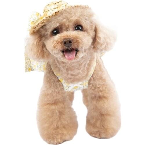 Small Dog Dress with Hap Summer Puppy Costumes Skirt Corgi Chihuahua Yorkshire Pomeranian Poodle Schnauzer Clothing Pet Clothes