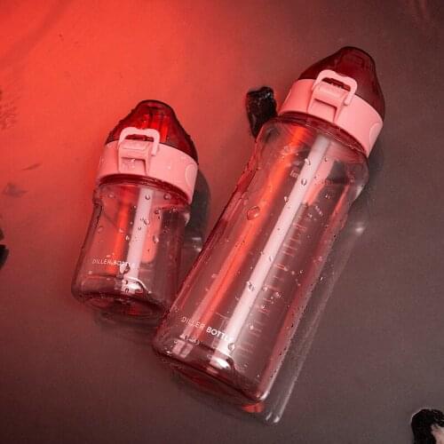 Jollity Of Life Water Bottles