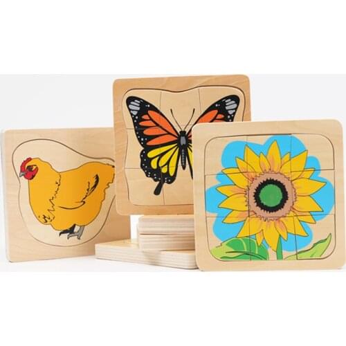 Multi Layers Wooden Puzzle Life Cycle of Man Woman Frog Sunflower Butterfly Puzzles for Kids Gift Montersial Science Materials