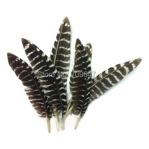 Turkey Feathers,100pcs/lot,10-13cm long - Natural Wild Turkey Chinchilla Wing Quill Feathers,Curly Wild Turkey Small Quills