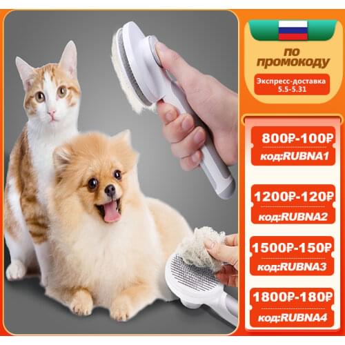 BERNO Products For Cats