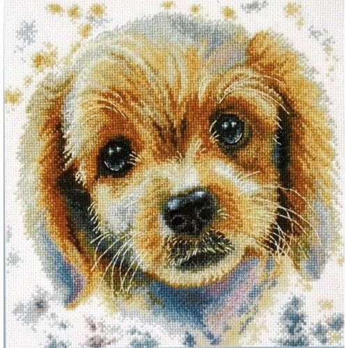 Manufacturer Embroidery Lyusi Counted Cross Stitch Christmas Stocking Kits with 100% Cotton Floss & Free Shipping for Wall Decor