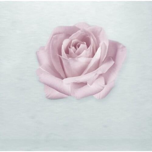 5x7ft Pink Rose Flowers Photography Backdrops Photo Props Studio Background