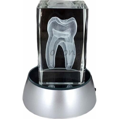 1pcs Dental Artware Teeth Model Dentist Crystal Model Creative Gifts Handicraft Article