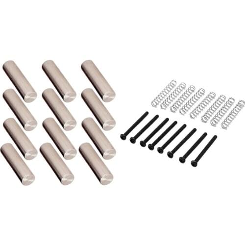 12 Pcs Professional Pickup Pole Slug Metal Pins Cyclinder Magnet Slug Rods With 8 Pcs Adjust Height Screw And Spring