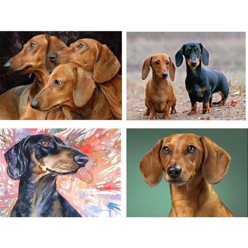 5d Diy Diamond Painting Professor Dachshund Diamond Embroidery Color Cute Pets Dog Full Drill Square Rhinestones DIY Bead Crafts