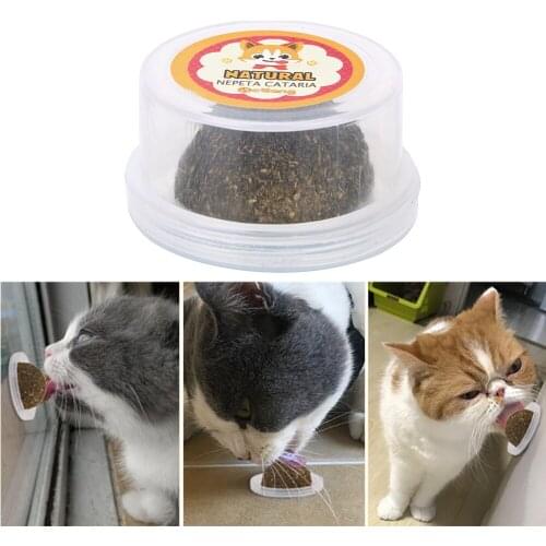 Natural Catnip Cat Toys Cleaning Teeth Cats Crazy Healthy Products For Kitten Edible Treating Pet Accessorries