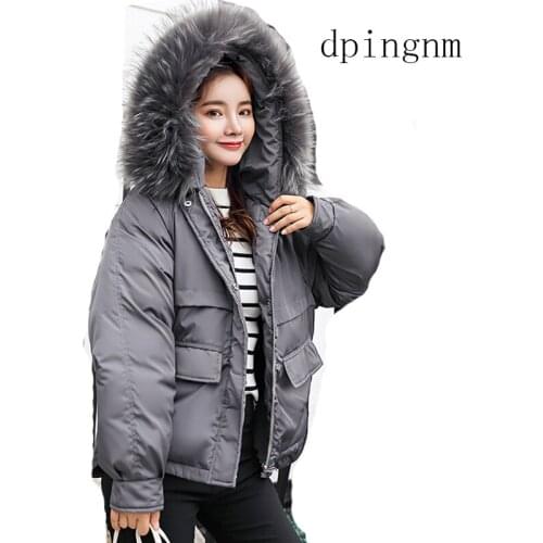 2018 New Winter Jacket Female Parka Coat Feminina Long Jacket Plus Size Long Hooded Duck Jacket Women