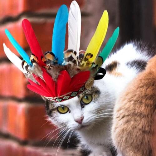 Pet Supplies Practical Cat Small Dogs Party Costume Feather Headband Feather Feather Pet Headband Reusable for Family