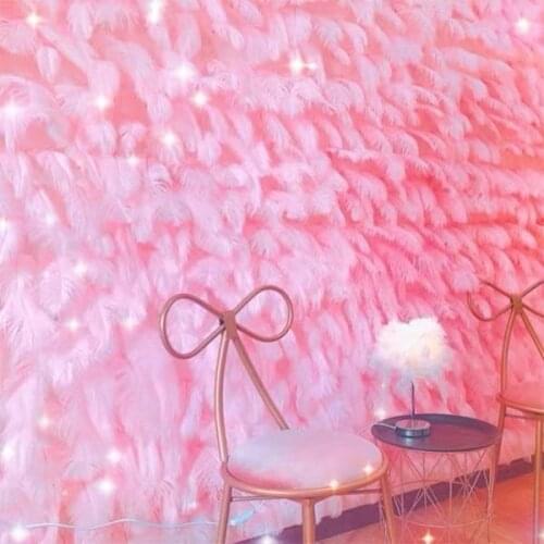 1cbm lot Ostrich feather for wedding birthday bachelorette hen party wall decorations christmas new year decoration wholesales