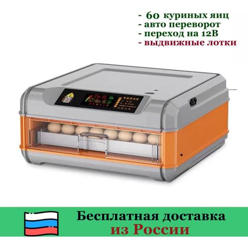 Поилки для животных Птичий Двор China At AliExpress