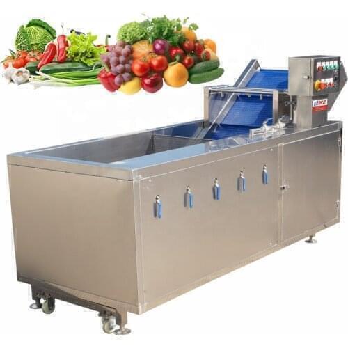 Industrial use 500kg 1000kg mini washing machine tomato bubble washer machine