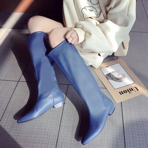 Womens Boots Autumn And Winter Warm Shoes Pointed Leather Shoes Spring Knee High Boots Low Heels Fashion Slim Boots