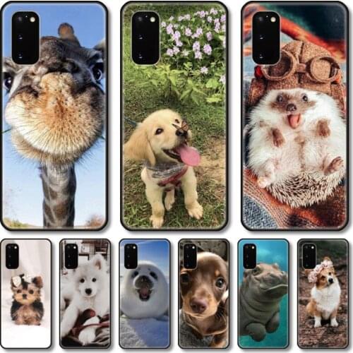 Cute animals Phone Case For Samsung Galaxy Note S21 20 10 9 E Lite UW Ultra 5G PRO Black Shell Cover