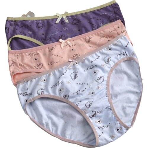 Womens underwear cotton breathable comfortable crotch belt hip large size breathable sweet girl underwear triangle shorts