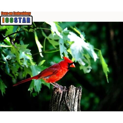 Full Square Diamond embroidery Cross stitch animal Full Round Diamond mosaic Red parrot 3D DIY Diamond painting bird