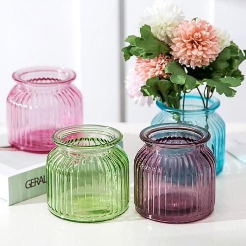 Creative Glass Transparent Vase Water Culture Green Plant European Vase Living Room Decoration