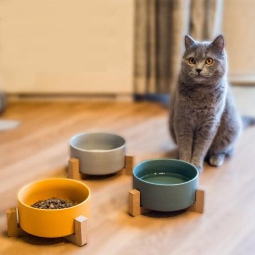 Cat Bowl Pet Products Durable Ceramic Pet Bowl Food Drink Feeder Non-Slip Feeding Dishes High Value And Large Capacity