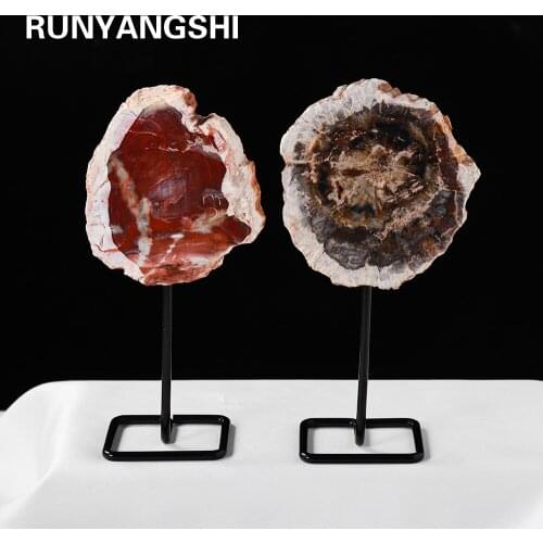 Natural Paleontological Fossil Tree Fossil Decoration Silicified Wood Tree Jade Mat Fossil mineral Specimen Art ornaments