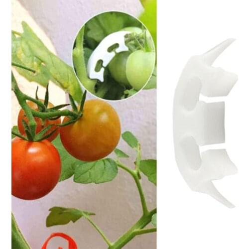 50pcs/lot Tomato cCip Fruit Seedling Reinforcement Hook Anti-bending Tie Clip