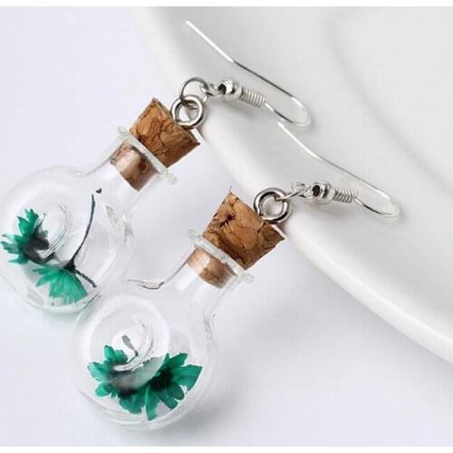 10pairs 20*20mm Glass Bottle Cork earrings Dry flower Glass Vial glass bubble dangle earring fashion Jars Vials earings