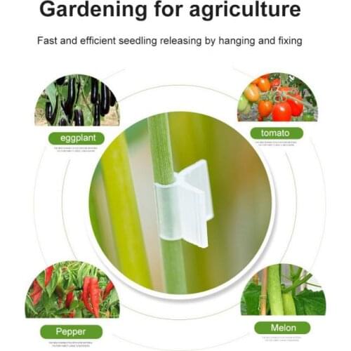 50/100pcs Plant Grafting Clips Vine Tomato Horticultural Flower Seedling Plastic Grafting Clamps Grow Support Fixing Clips Card