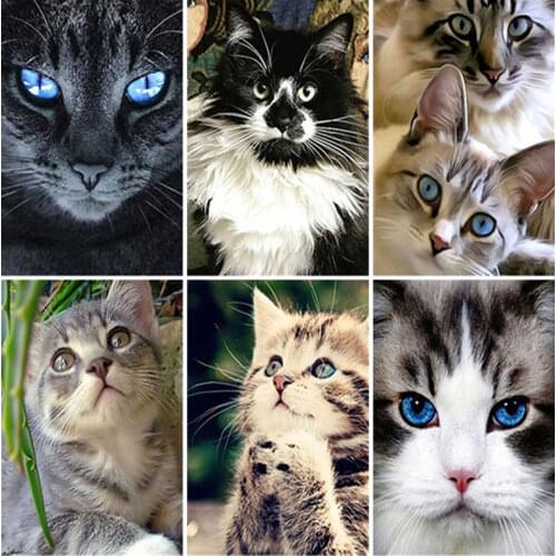 DIY 5D Diamond Painting Cat Diamond Embroidery Cross Stitch Full Round/Square Animals Picture of Rhinestone Mosaic Wall Decor