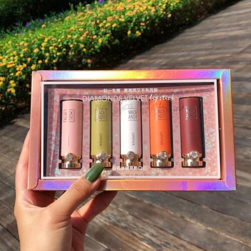5PCS/SET Women Lipstick Matte Velvet Lip Stick Makeup Lip Cosmetic LongLasting Waterproof Nude Matte Lipstick Lip Gloss Gift Box