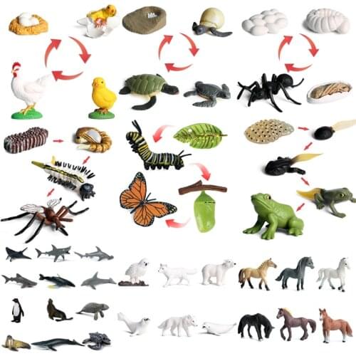 2020 Simulation Insect Animal Model Figures Mini Butterfly Frog Mosquito Ocean Whale Animal Poultry PVC Figures Dolsl Toys Gift